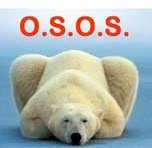 Oso polar en el rtico, pide ayuda. Foto: New Scientist